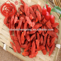 250 granos / 50 g de Ningxia Goji bayas secas mejor vendido Gojiberry